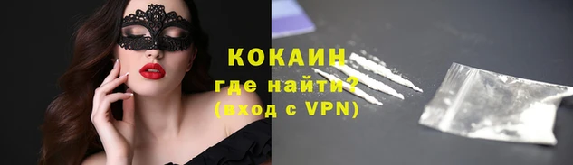 тгк Абаза