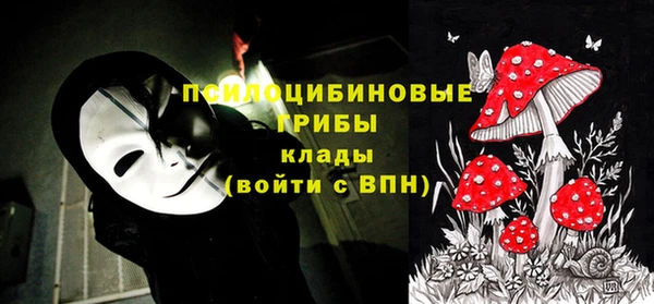 тгк Абаза