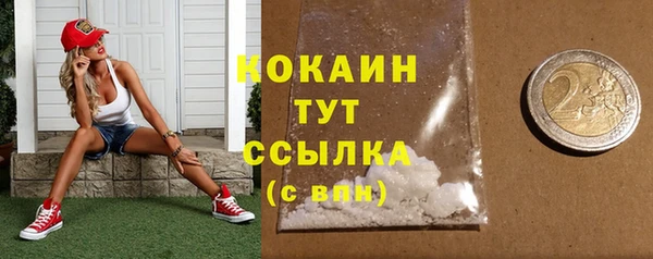 тгк Абаза