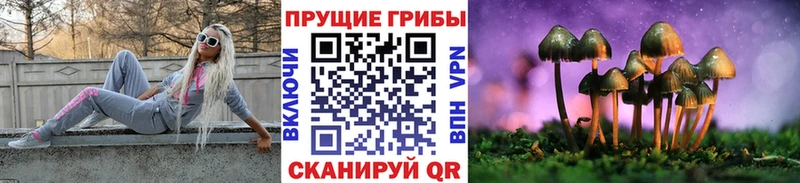 Галлюциногенные грибы Psilocybe  Питкяранта 